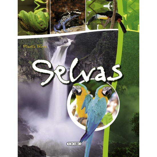 PLANETA TIERRA: Selva
