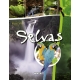 PLANETA TIERRA: Selva