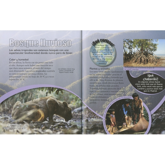 PLANETA TIERRA: Selva