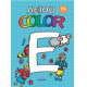 AEIOU COLOR