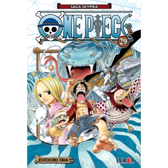 ONE PIECE 29