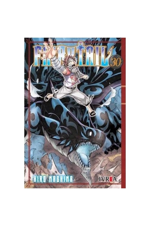 FAIRY TAIL 30