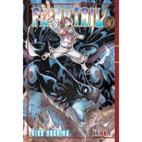 FAIRY TAIL 30